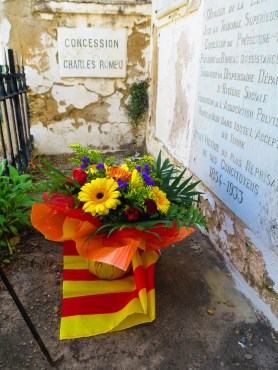 Foto Ludmilla Lacueva Canut